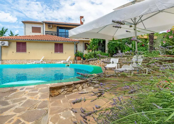 Lovely In With Wifi 波雷奇